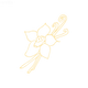 Vanilla